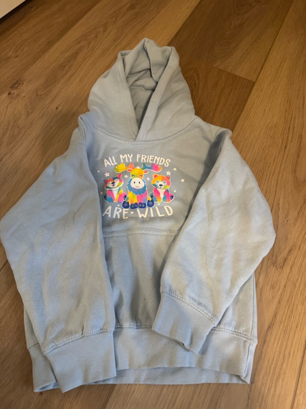 Light Blue Kids Hoodie with Colorful Animal Graphic